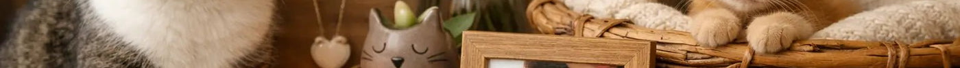 15 Thoughtful Gifts for Cat Moms They’ll Adore - Tiny Tiger Gift Shop