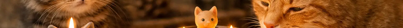 How to Choose Cat Themed Candle Gifts with Care