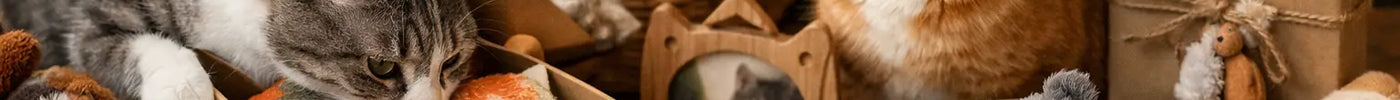 12 Customer Favorite Cat Gift Ideas for Cat Lovers