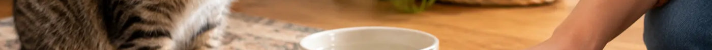 How to Clean Cat Placemats Without the Fuss