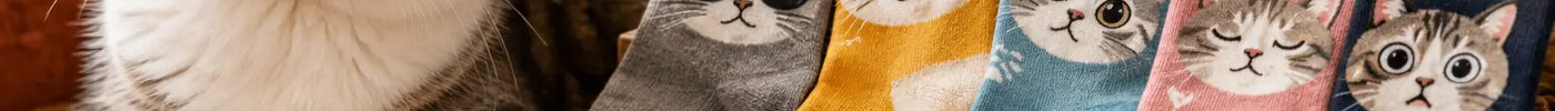 Funny Cat Socks Collection for Every Mood
