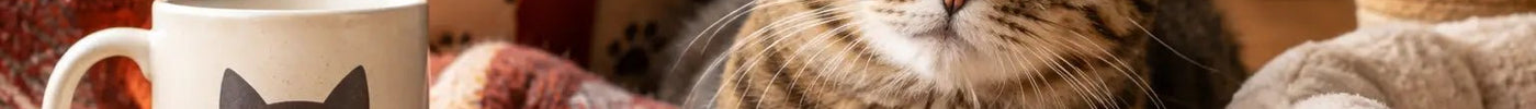 What Do Cat Lovers Buy? Gifts With Cattitude - Tiny Tiger Gift Shop