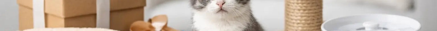 What to Gift New Cat Owners - Tiny Tiger Gift Shop