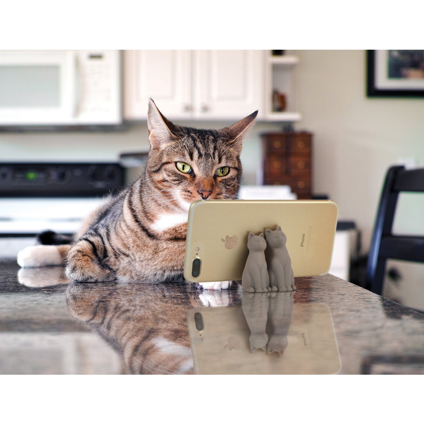 "Cat Call" Phone Stand - Tiny Tiger Gift Shop