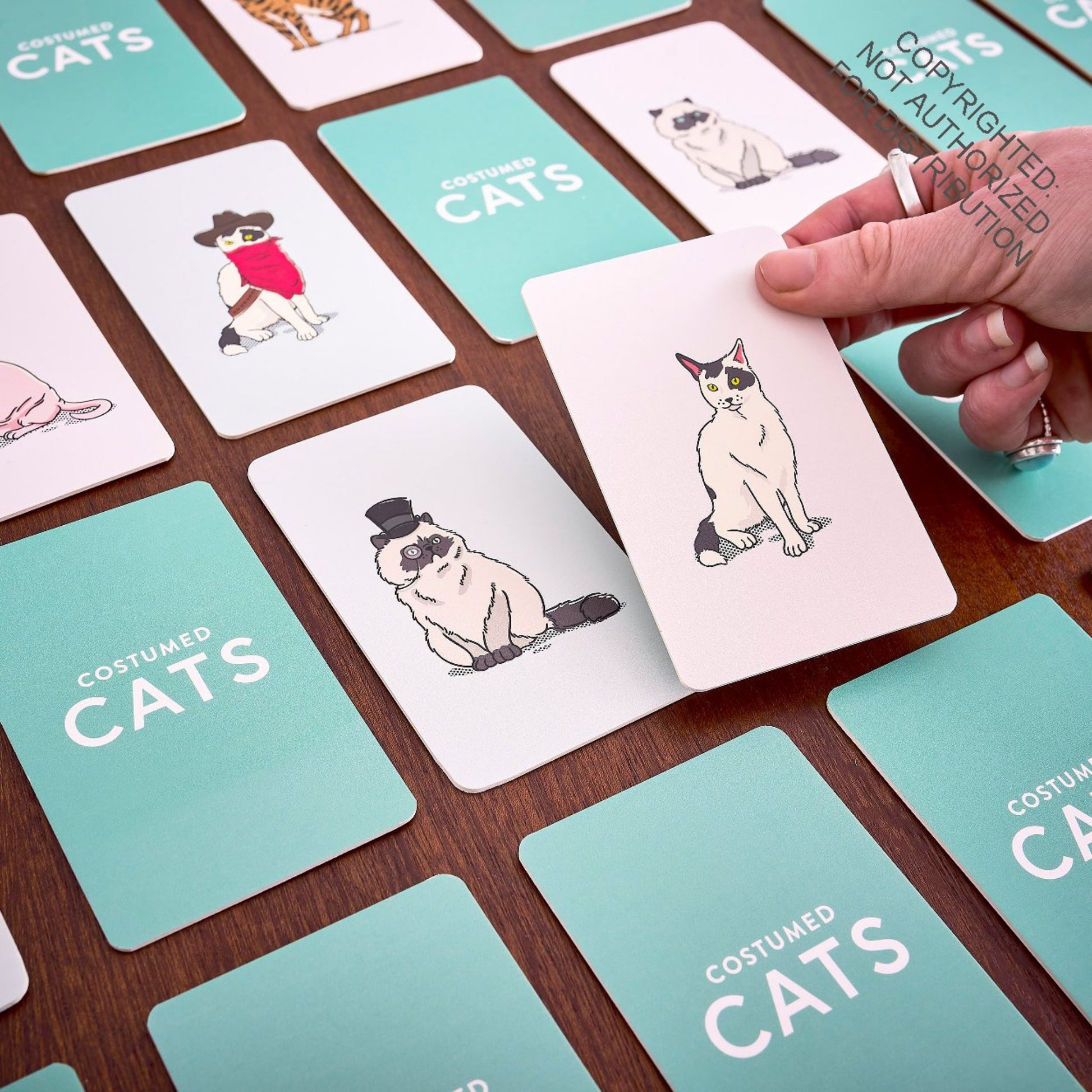 "Costumed Cats" - Memory Game - Tiny Tiger Gift Shop