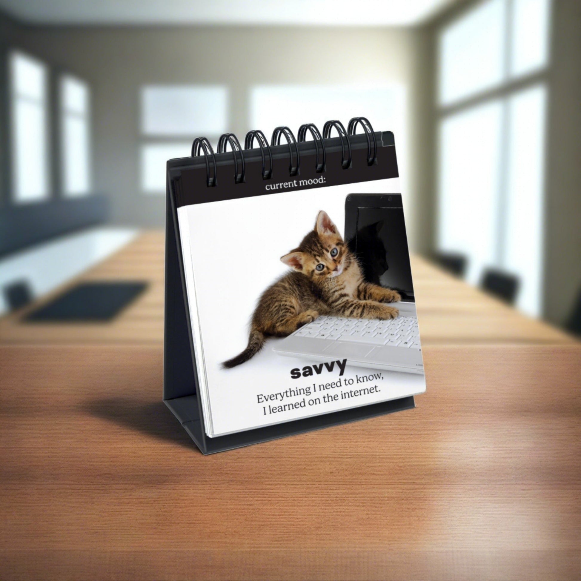 "Daily Cattitudes" Desktop Flipchart - Tiny Tiger Gift Shop