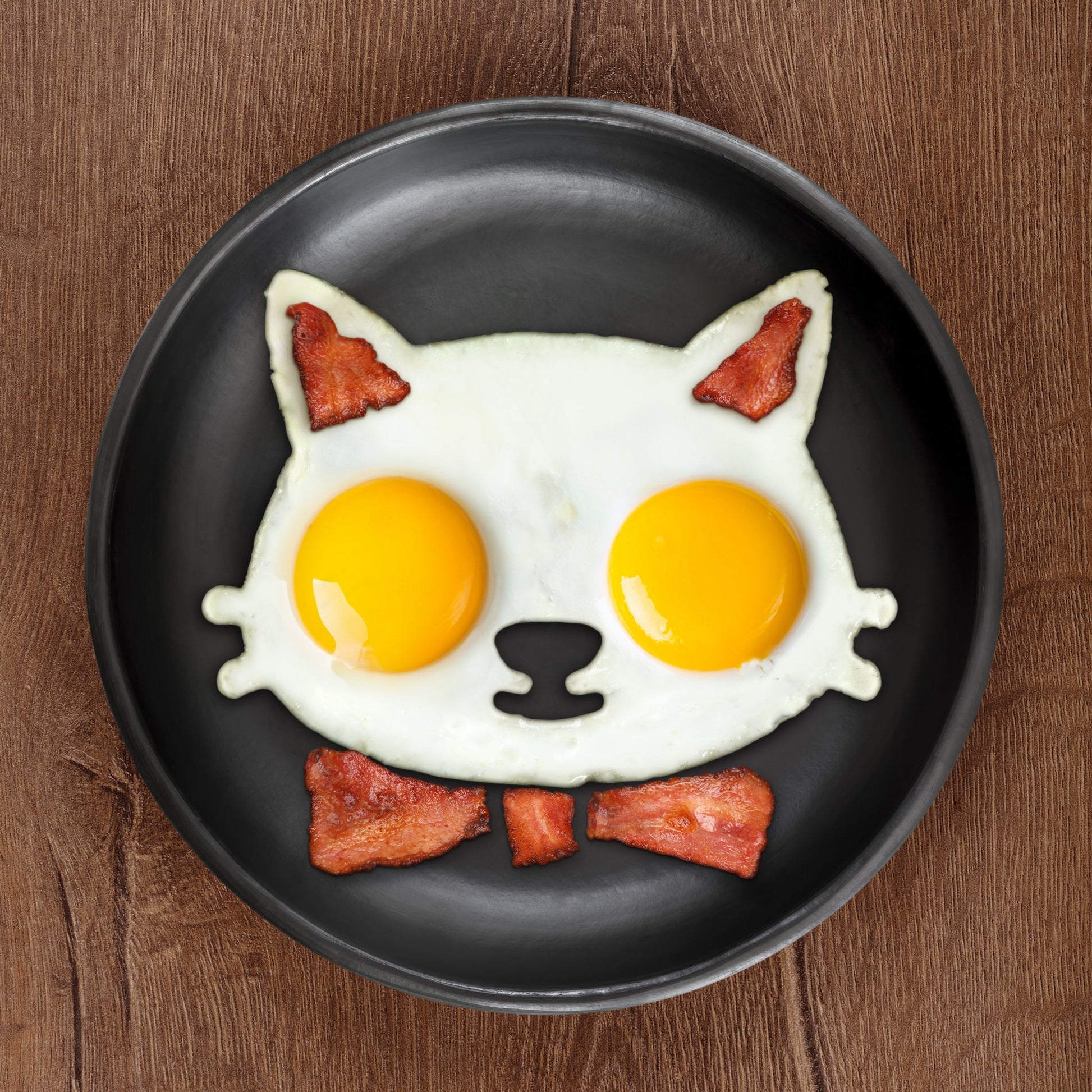 "Funnyside Up" Cat Egg Mold - Tiny Tiger Gift Shop