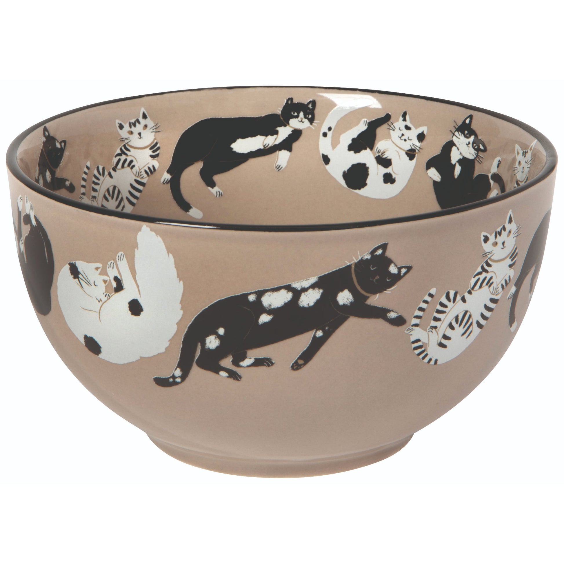 "Meow & Furever": Everyday Bowls (Set of 4) - Tiny Tiger Gift Shop
