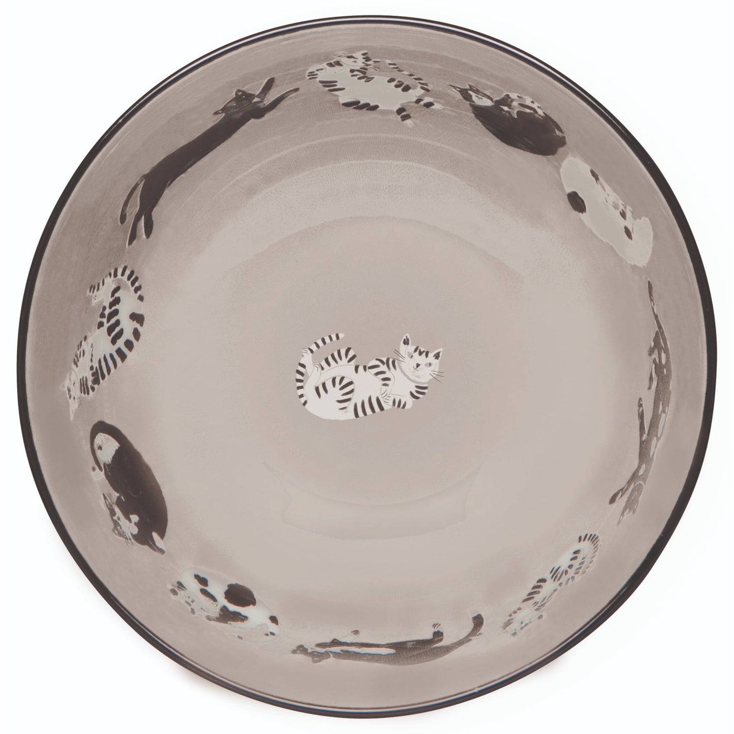 "Meow & Furever": Everyday Bowls (Set of 4) - Tiny Tiger Gift Shop