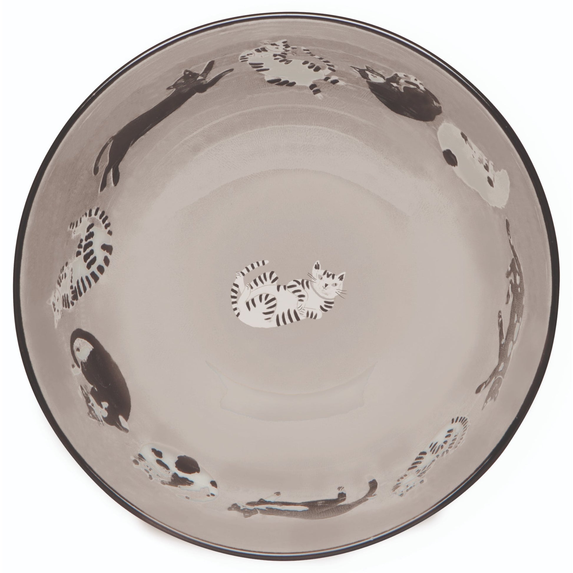 "Meow & Furever": Everyday Bowls (Set of 4) - Tiny Tiger Gift Shop