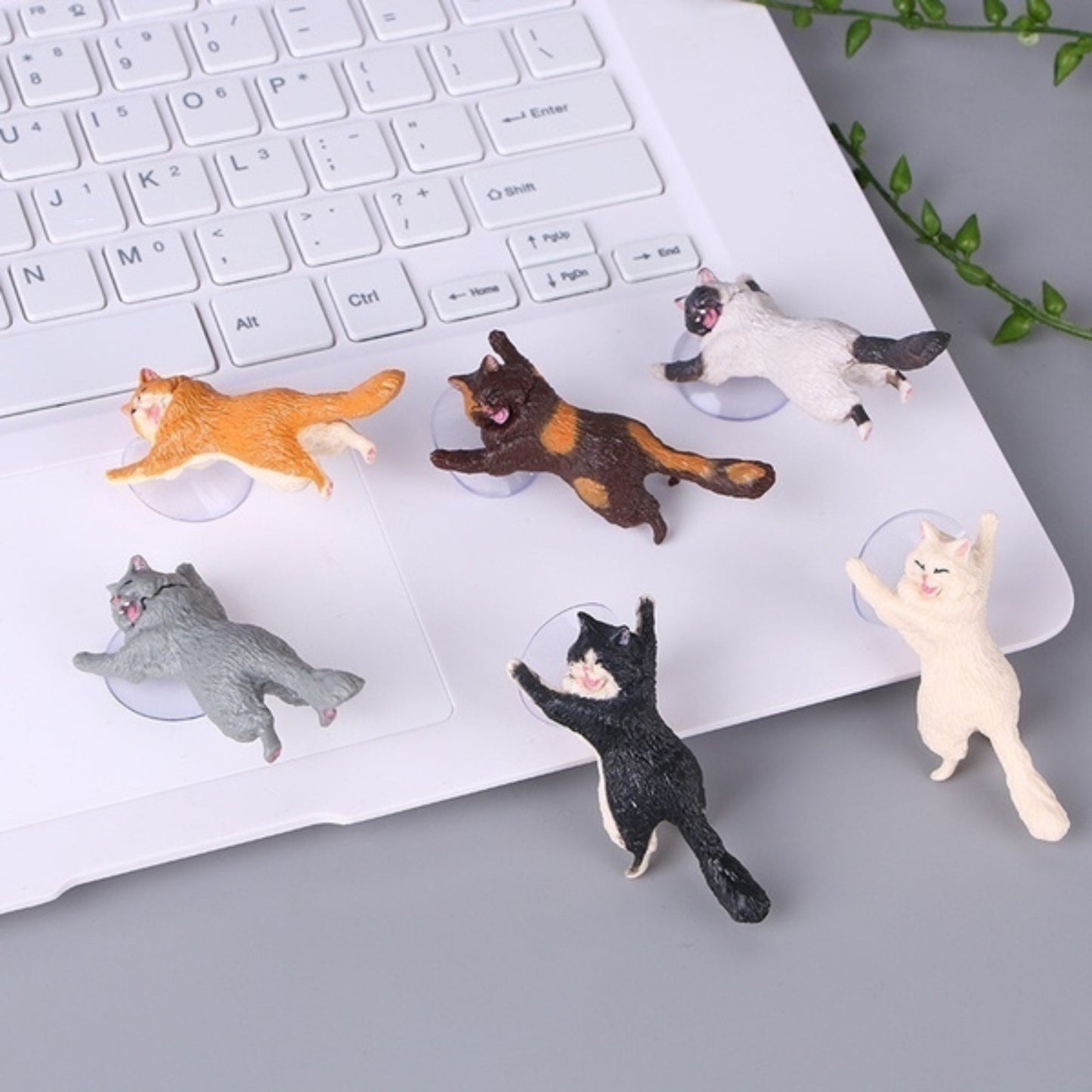 Rescue Cats - Tiny Tiger Gift Shop