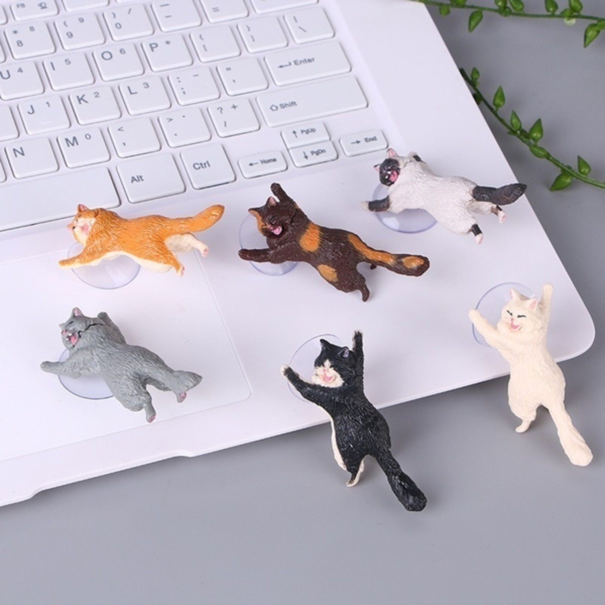 Rescue Cats - Tiny Tiger Gift Shop