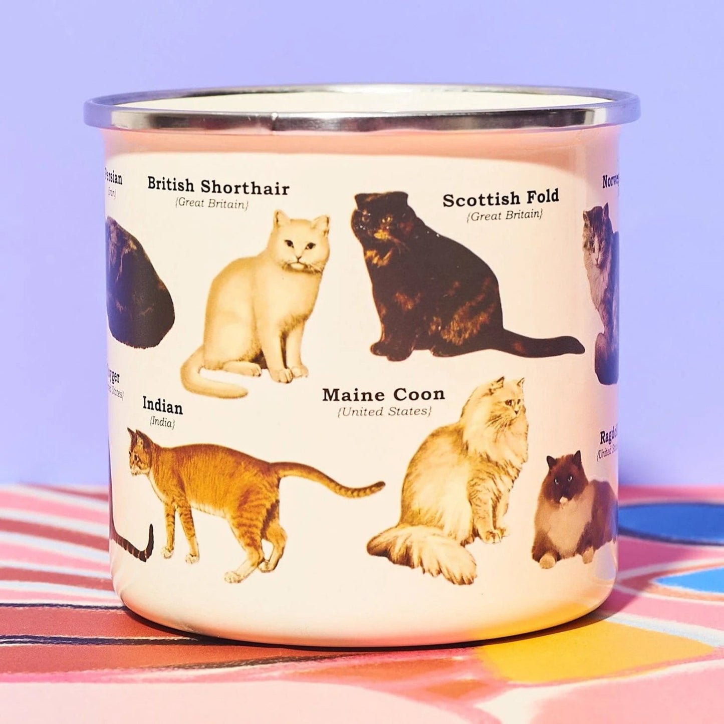 Cat Breeds Enamel Mug - Tiny Tiger Gift Shop