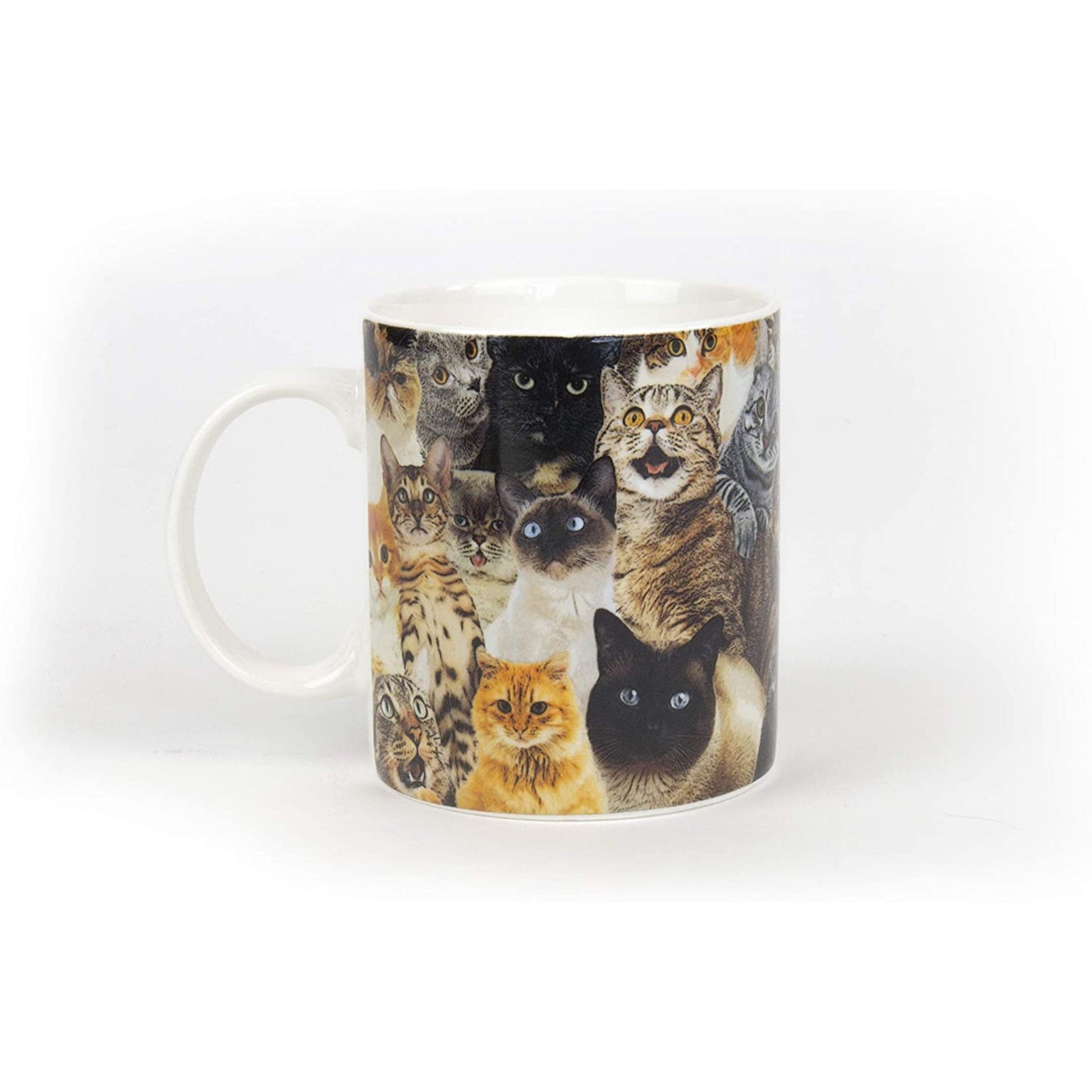 Crazy Cat Lady Mug - Tiny Tiger Gift Shop