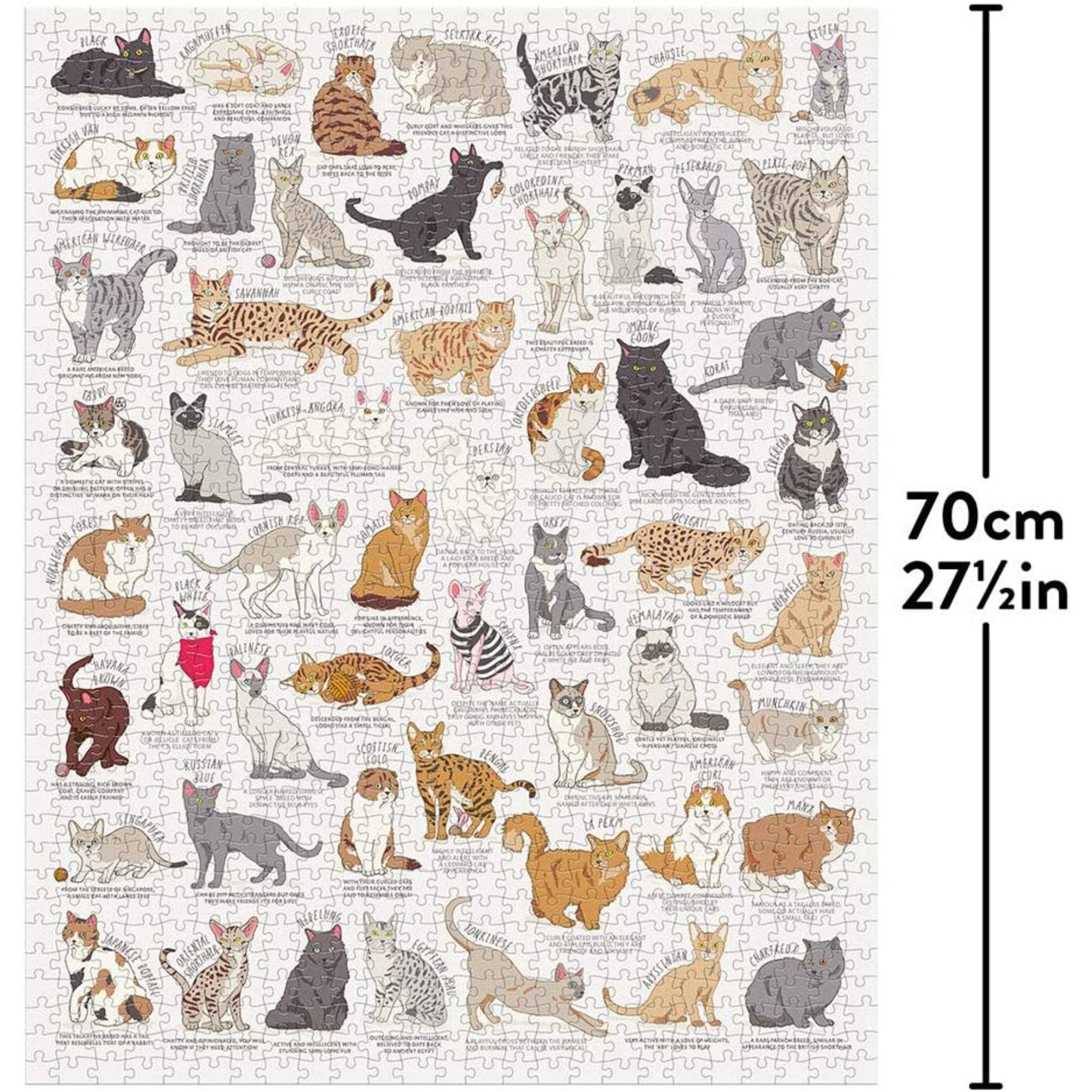 Puzzles - 1000 Pieces - Tiny Tiger Gift Shop