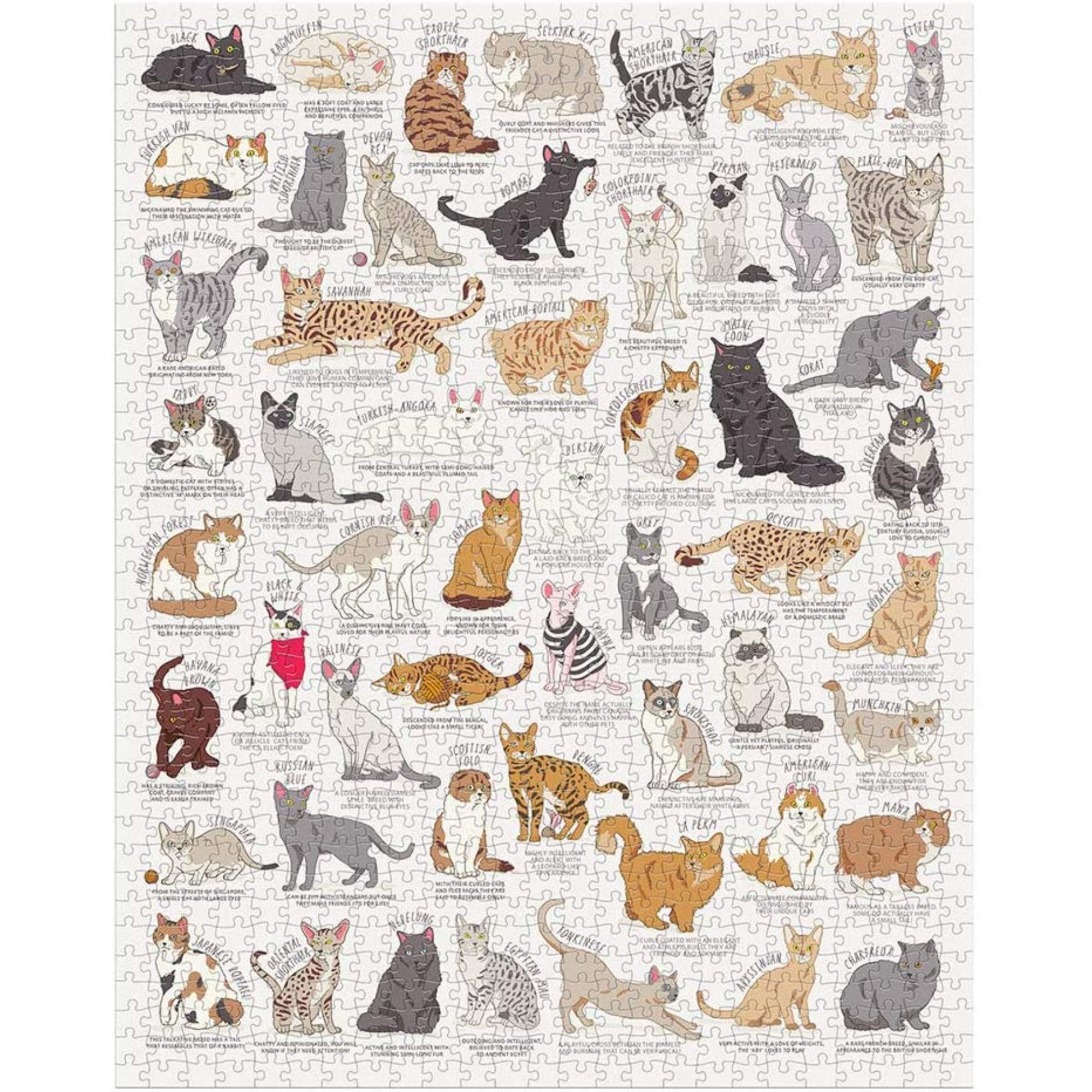 Puzzles - 1000 Pieces - Tiny Tiger Gift Shop