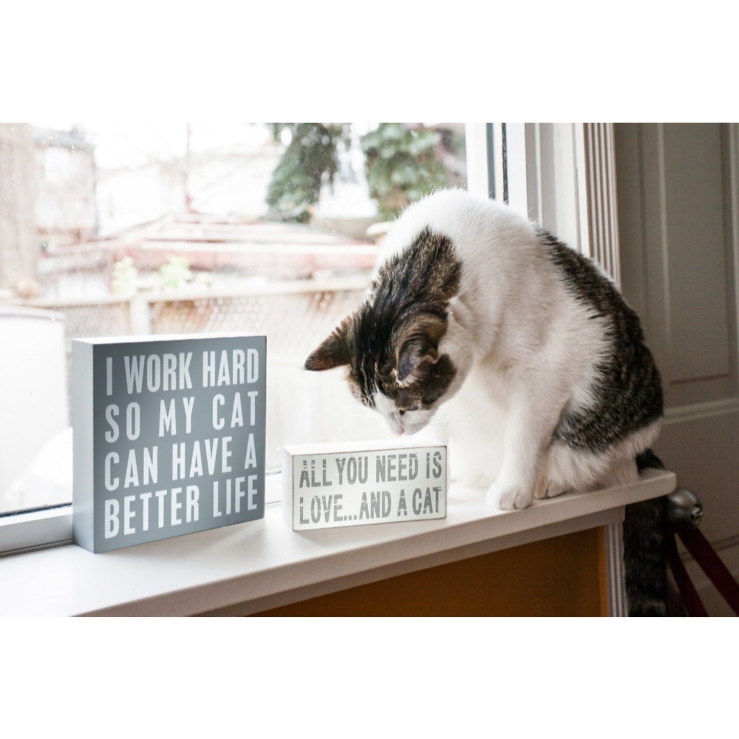 Wooden Block Signs - Tiny Tiger Gift Shop