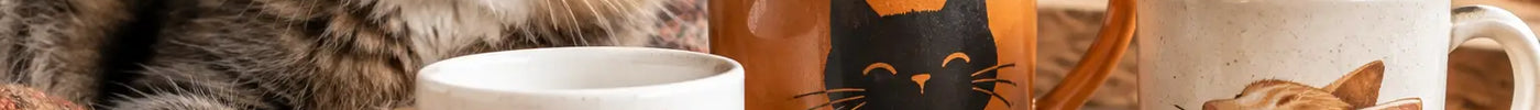 How to Choose Cat Mugs You'll Love Daily