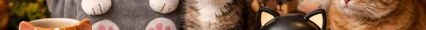 12 Cat Themed Gifts for Kids They’ll Love - Tiny Tiger Gift Shop