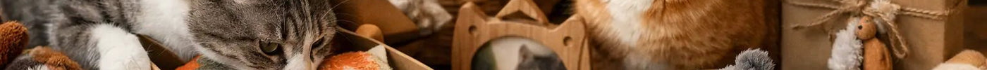 12 Customer Favorite Cat Gift Ideas for Cat Lovers - Tiny Tiger Gift Shop