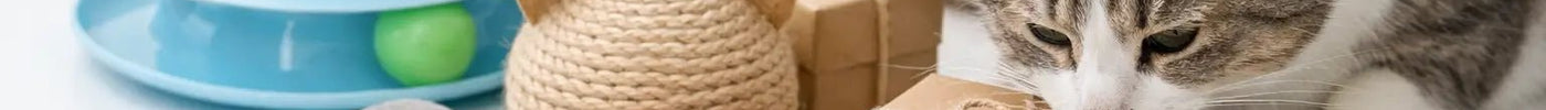 15 Best Cat Gifts Under 25 - Tiny Tiger Gift Shop