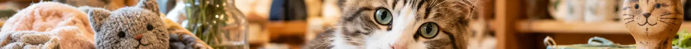 Why Buy From Small Gift Shops? More Purrsonality