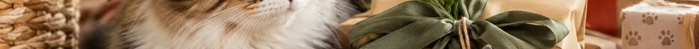 Cat Gift Presentation Ideas That Feel Purrsonal - Tiny Tiger Gift Shop