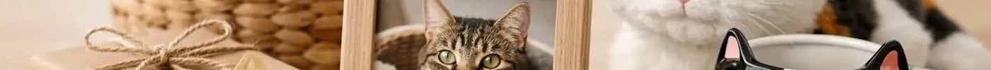 How to Choose Cat Gifts That Feel Personal - Tiny Tiger Gift Shop