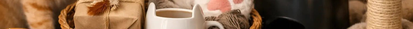 What Are Practical Cat Lover Gifts? 10 Ideas - Tiny Tiger Gift Shop