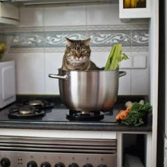 KITCHEN - Tiny Tiger Gift Shop