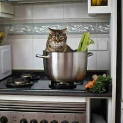 KITCHEN - Tiny Tiger Gift Shop