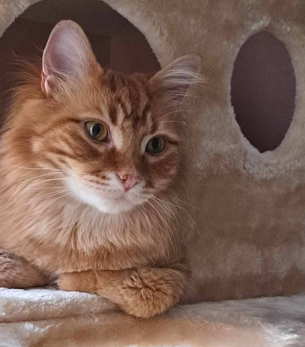 <h3><strong>ALL PRODUCTS</strong></h3>