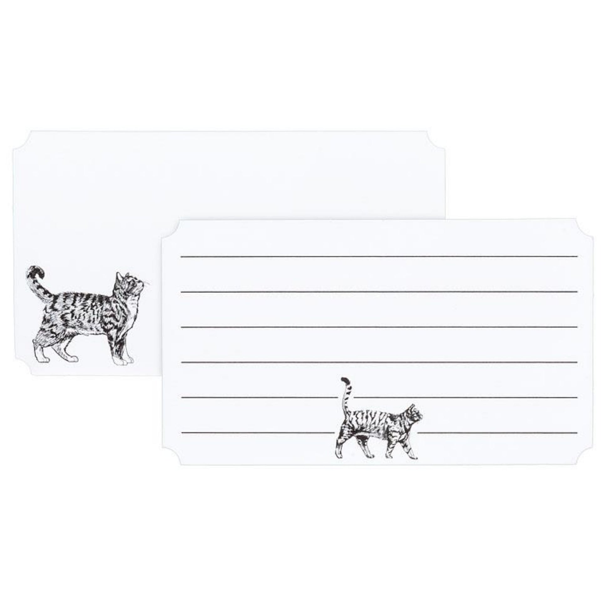 "Best Fishes" - Note Cards (Box of 50) - Tiny Tiger Gift Shop