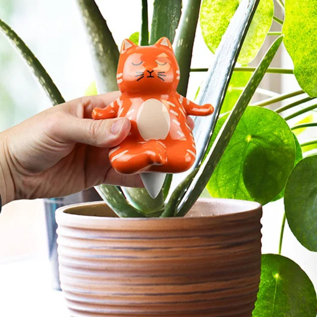 Yoga Cat Water Dispenser - Tiny Tiger Gift Shop