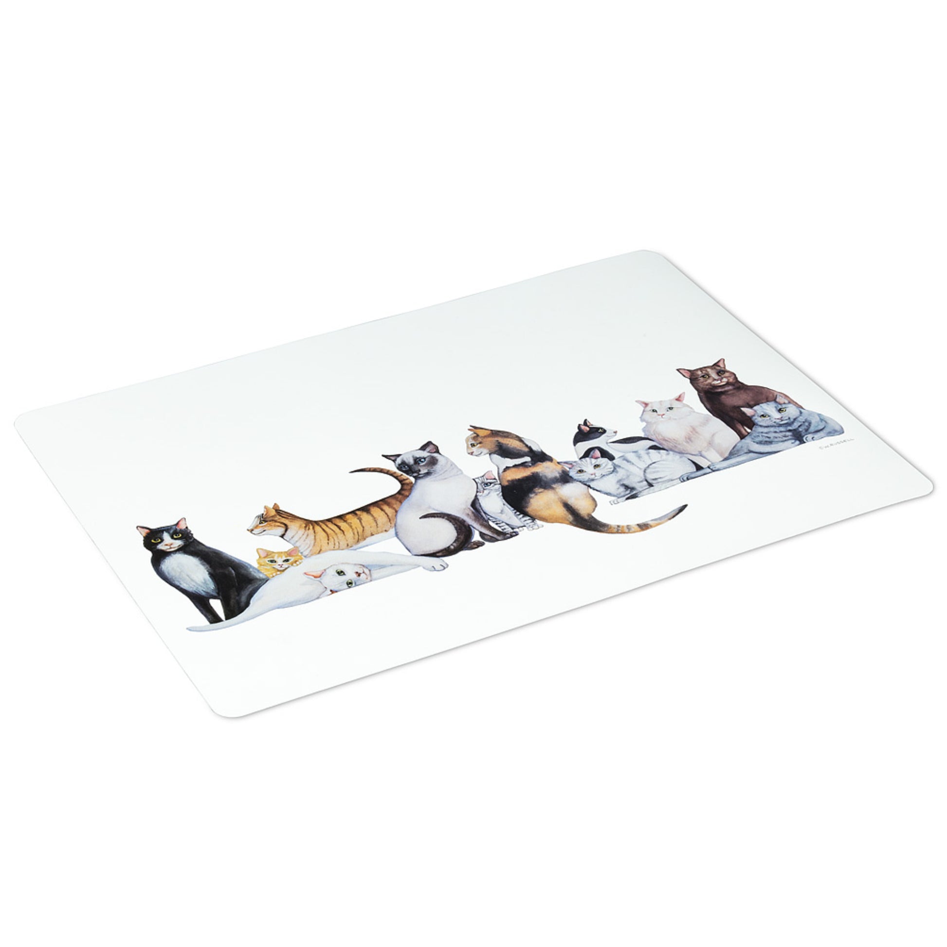 Placemats - Tiny Tiger Gift Shop