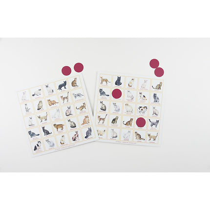 Cat Bingo - Tiny Tiger Gift Shop