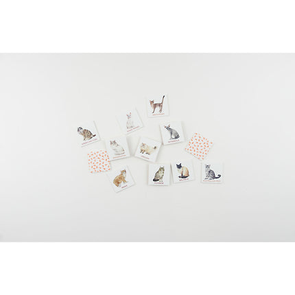 Cat Bingo - Tiny Tiger Gift Shop