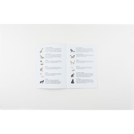 Cat Bingo - Tiny Tiger Gift Shop