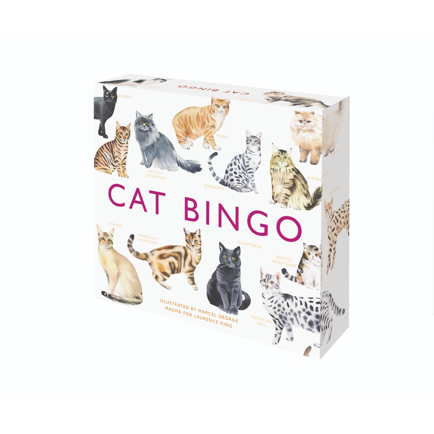 Cat Bingo - Tiny Tiger Gift Shop