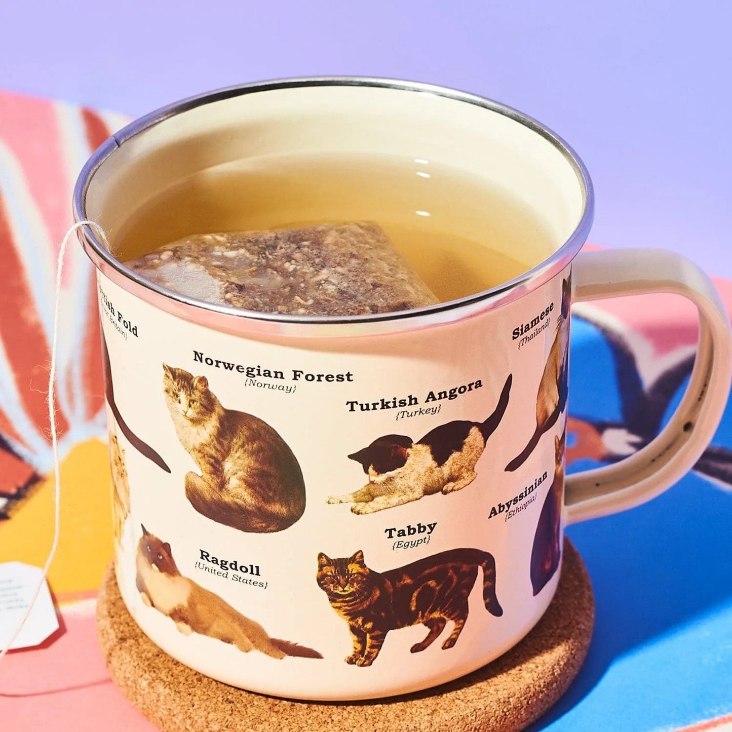 Cat Breeds Enamel Mug - Tiny Tiger Gift Shop