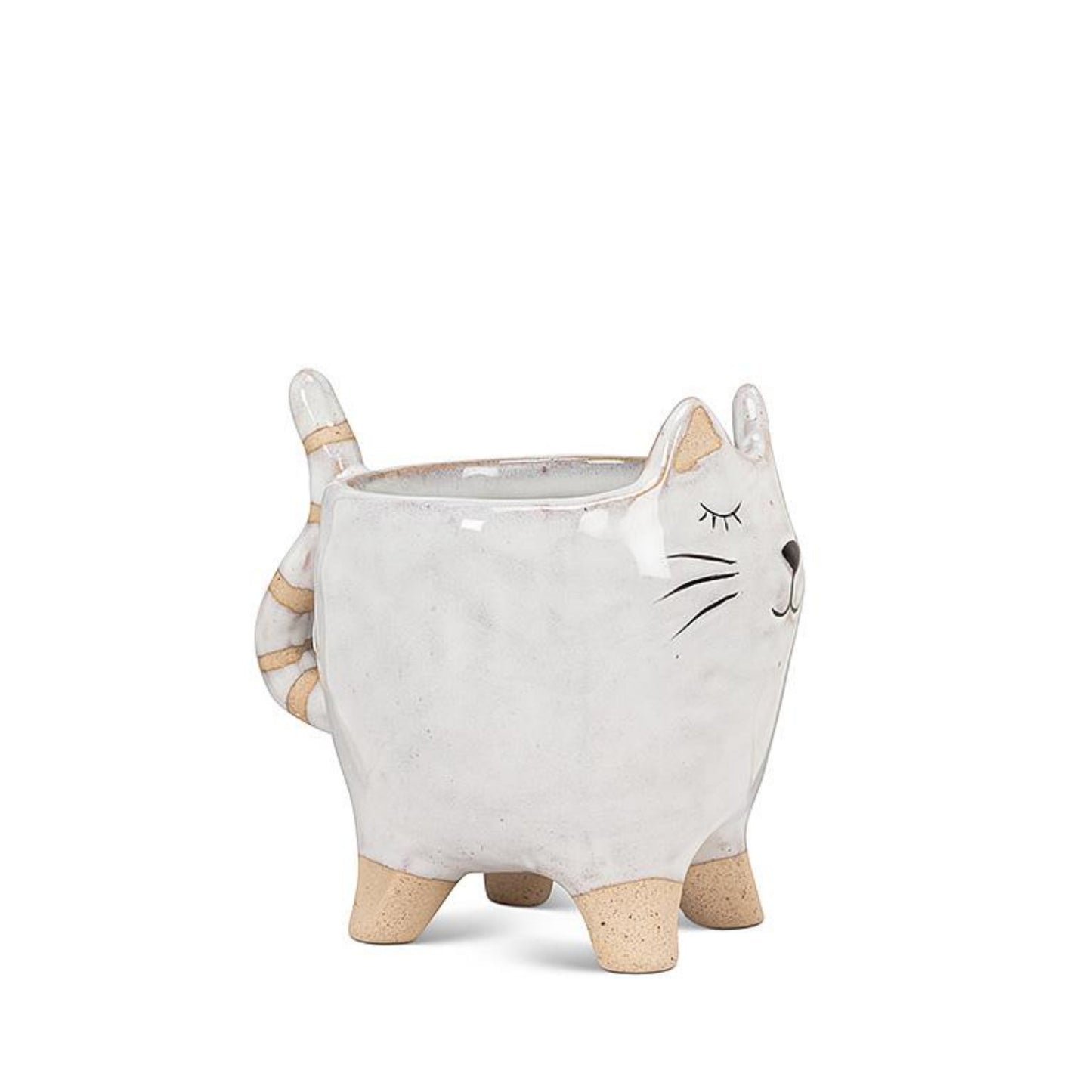 "Cat With Tail" Planter - Tiny Tiger Gift Shop