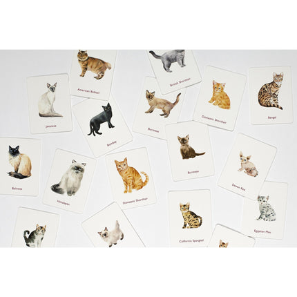 "Cats And Kittens" - Memory Game - Tiny Tiger Gift Shop