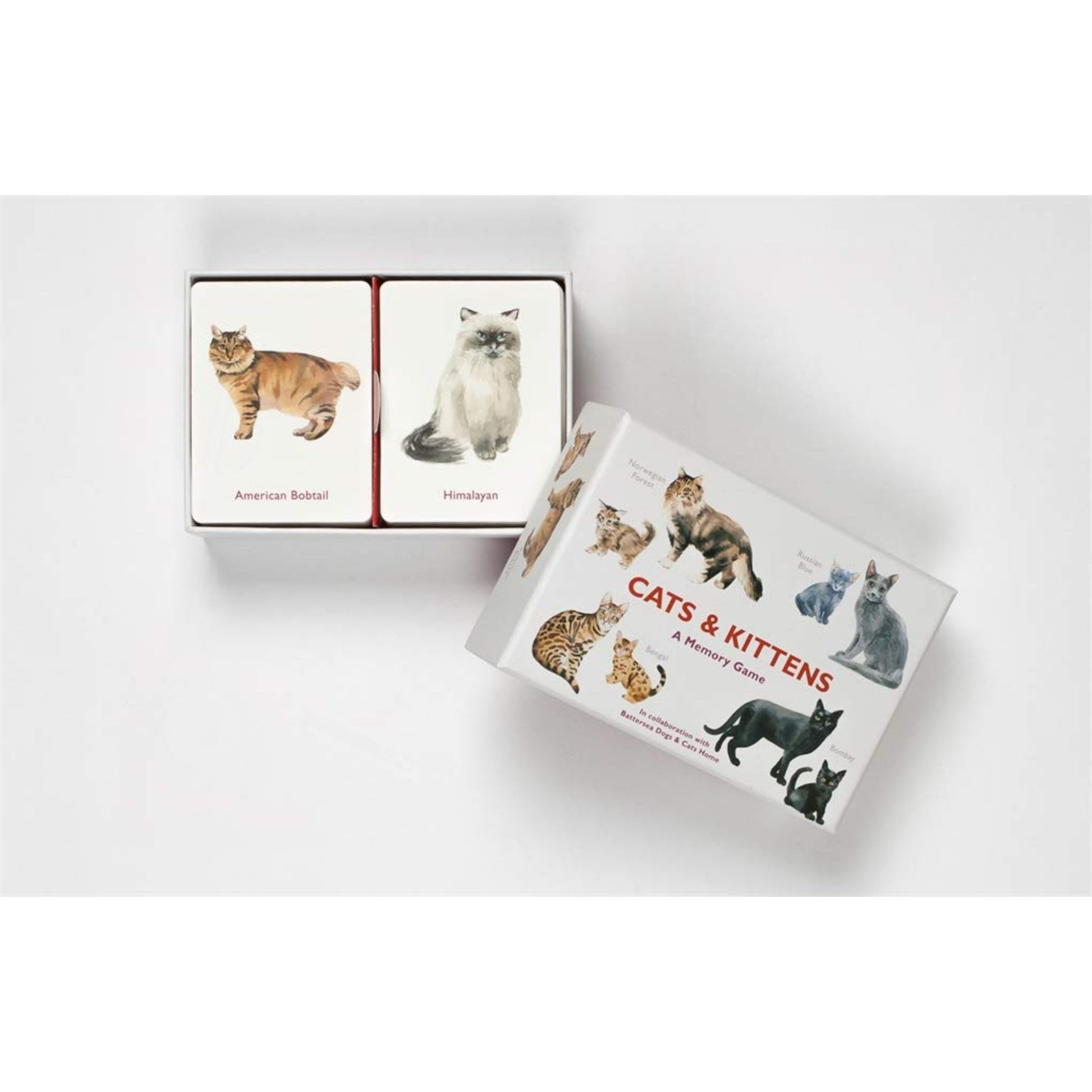 "Cats And Kittens" - Memory Game - Tiny Tiger Gift Shop