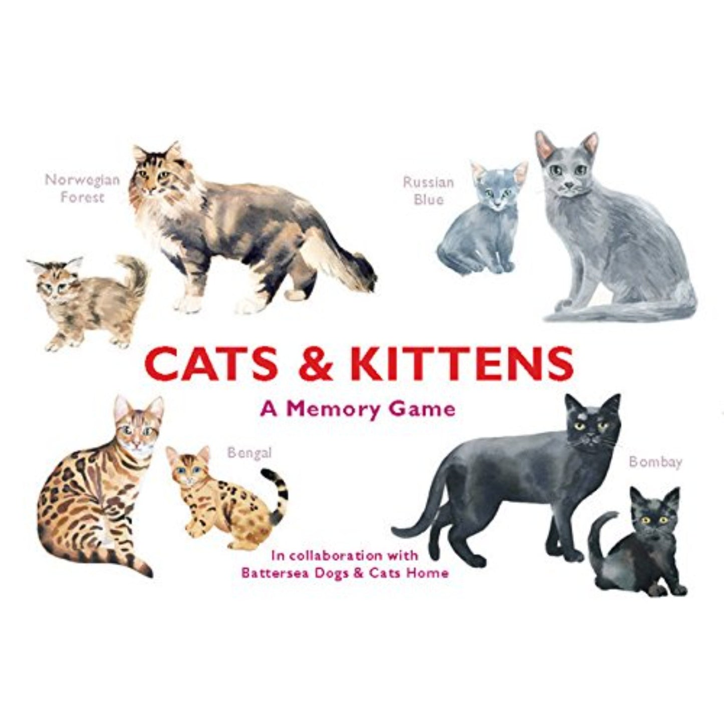 "Cats And Kittens" - Memory Game - Tiny Tiger Gift Shop