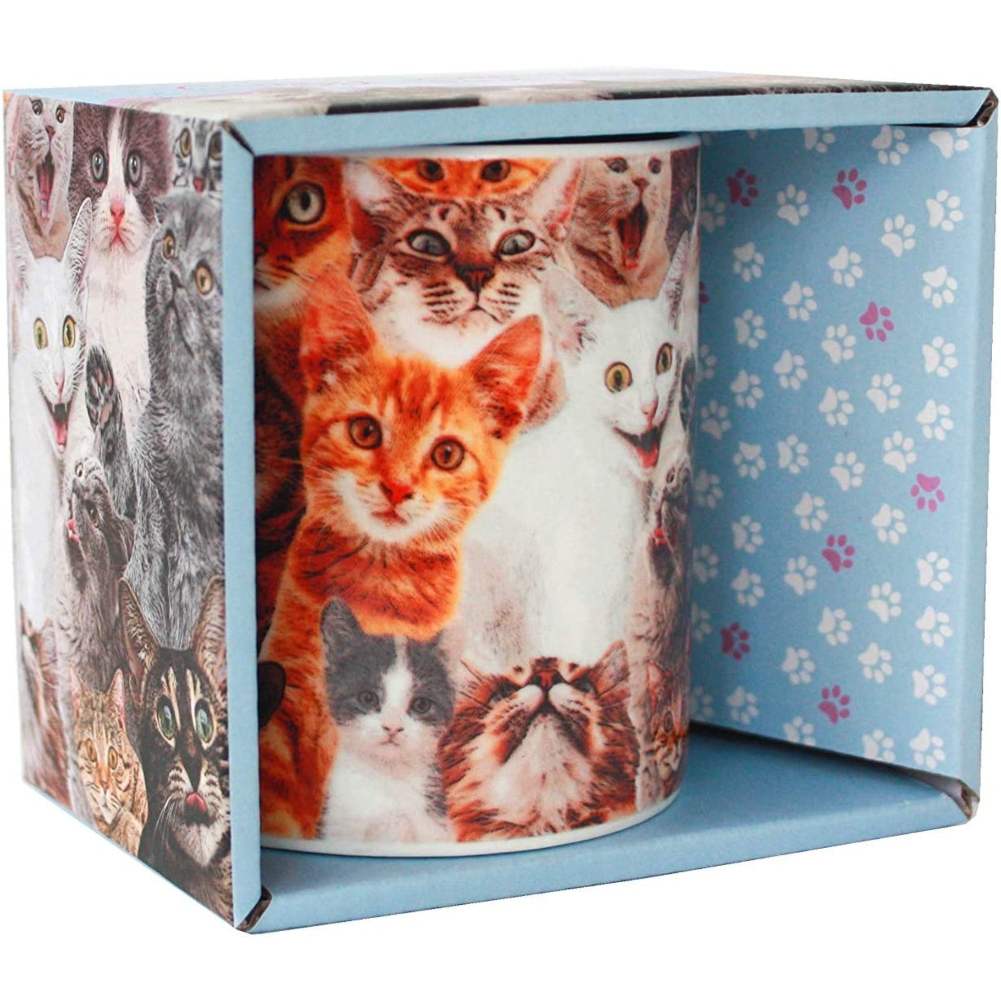 Crazy Cat Lady Mug - Tiny Tiger Gift Shop