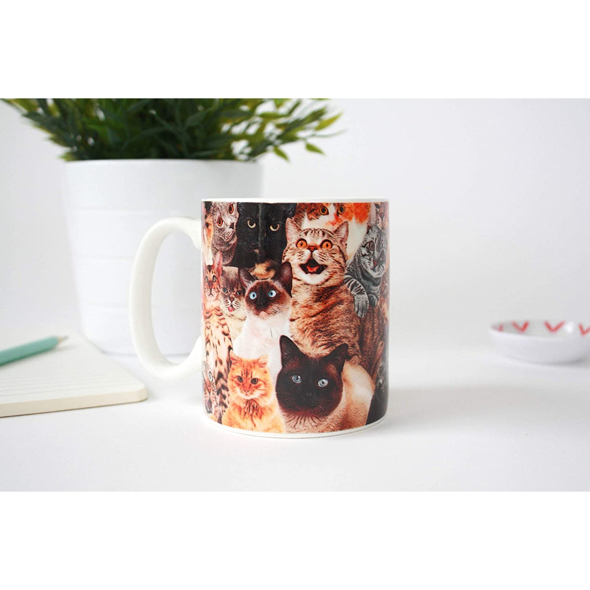 Crazy Cat Lady Mug - Tiny Tiger Gift Shop
