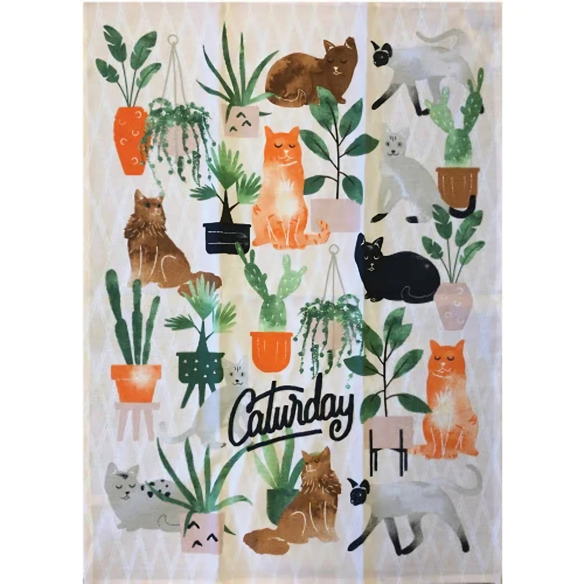 Dishtowel "Caturday" - Tiny Tiger Gift Shop