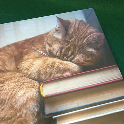 Puzzles - 1000 Pieces - Tiny Tiger Gift Shop