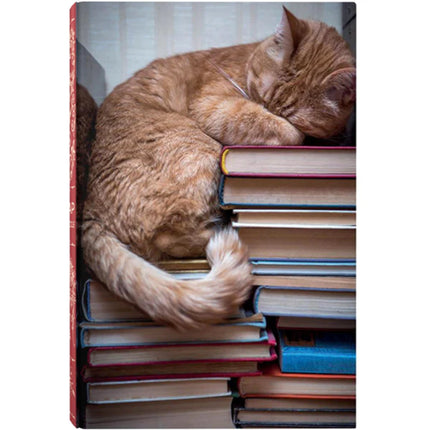 Puzzles - 1000 Pieces - Tiny Tiger Gift Shop