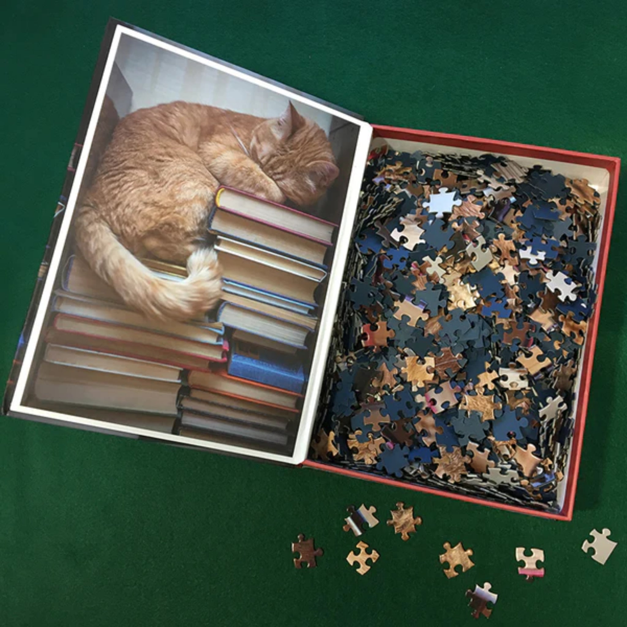 Cool shop cats puzzle